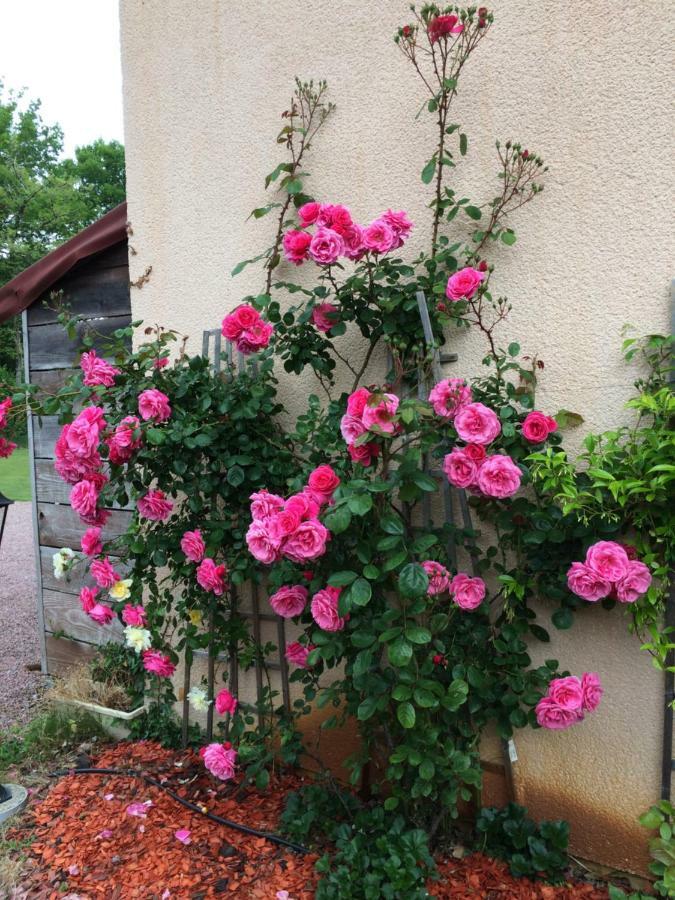 La Mimona Bed & Breakfast Sainte-Eulalie-en-Born Exterior foto