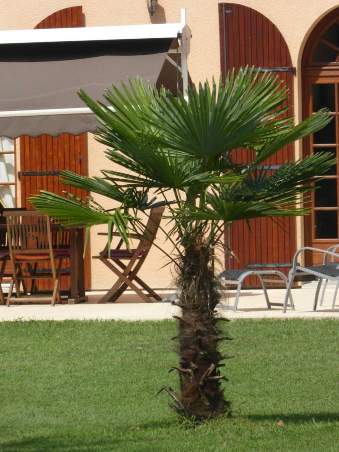 La Mimona Bed & Breakfast Sainte-Eulalie-en-Born Exterior foto