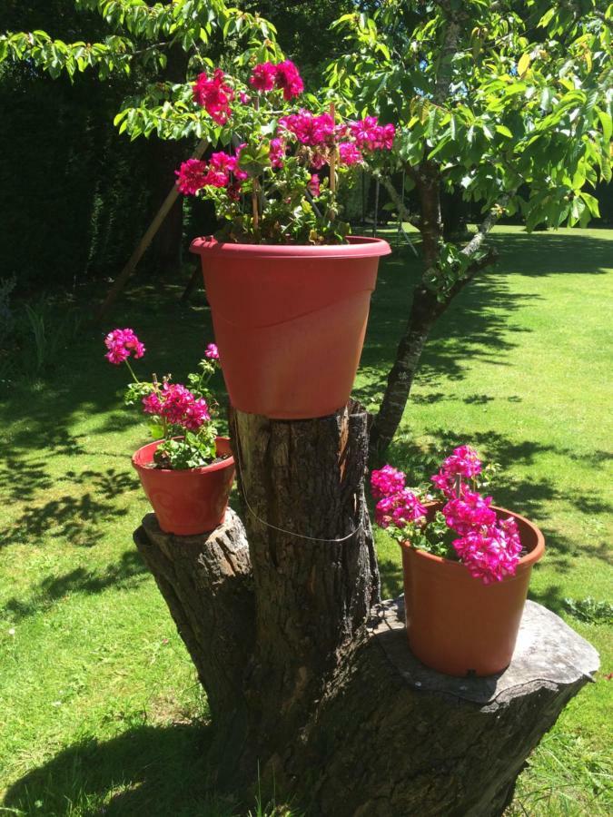 La Mimona Bed & Breakfast Sainte-Eulalie-en-Born Exterior foto